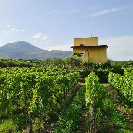 Vesuvio Inn Guest House E Wine Experience Boscotrecase Exterior foto