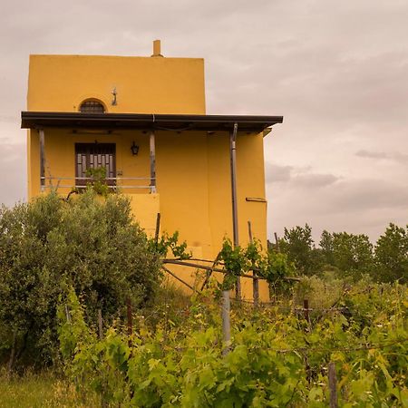 Vesuvio Inn Guest House E Wine Experience Boscotrecase Exterior foto