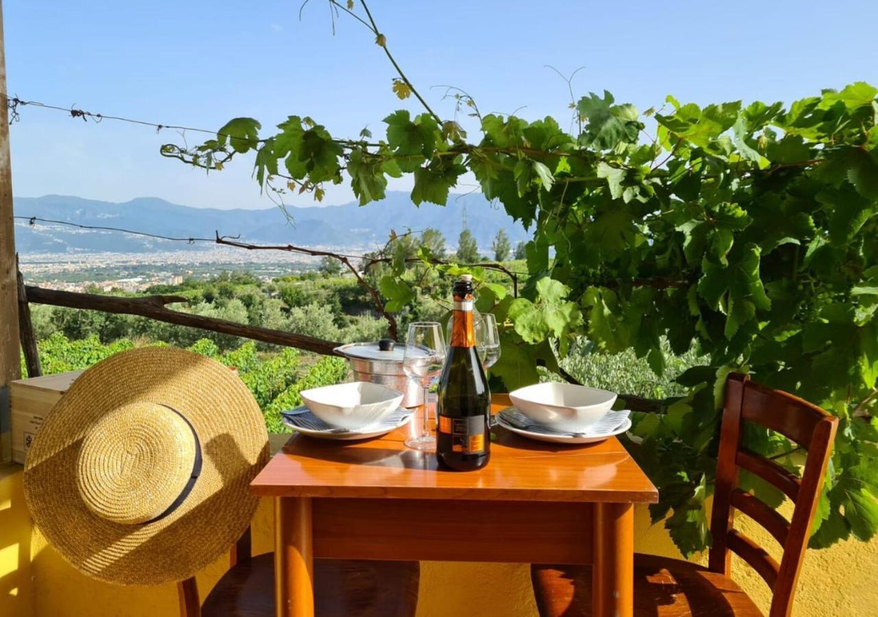 Vesuvio Inn Guest House E Wine Experience Boscotrecase Exterior foto