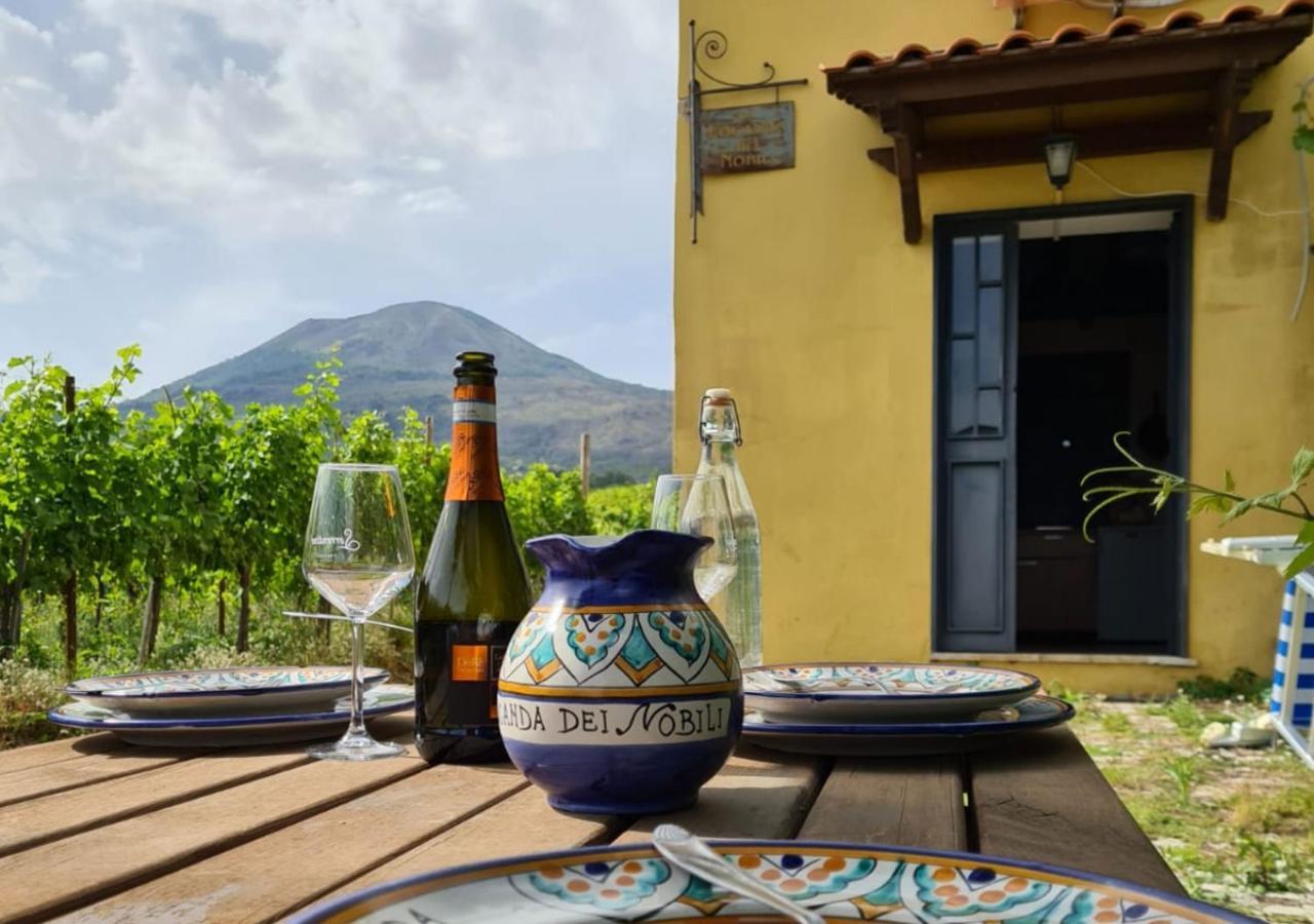 Vesuvio Inn Guest House E Wine Experience Boscotrecase Exterior foto