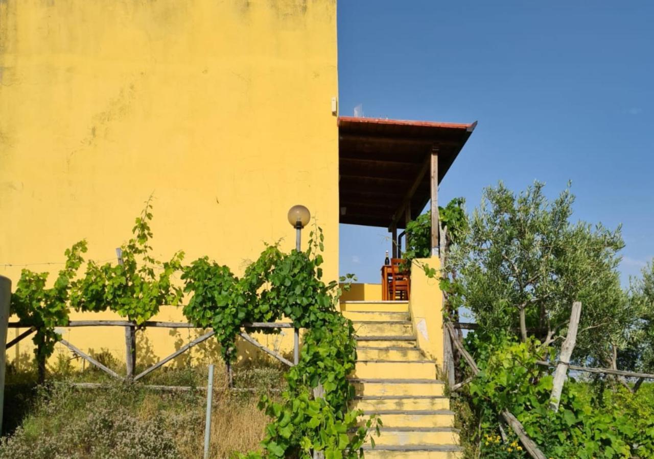 Vesuvio Inn Guest House E Wine Experience Boscotrecase Exterior foto