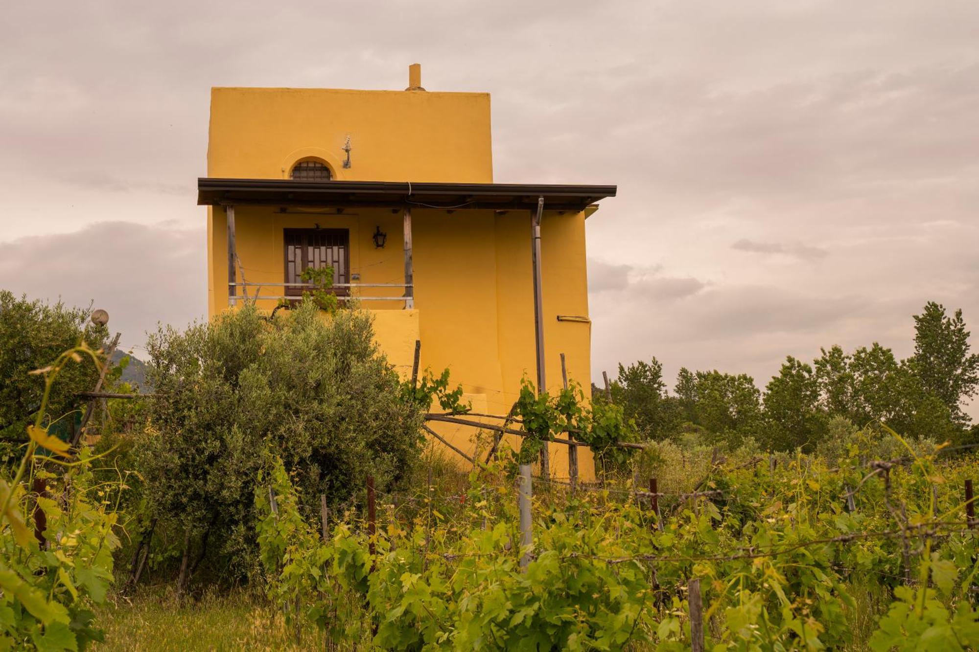 Vesuvio Inn Guest House E Wine Experience Boscotrecase Exterior foto