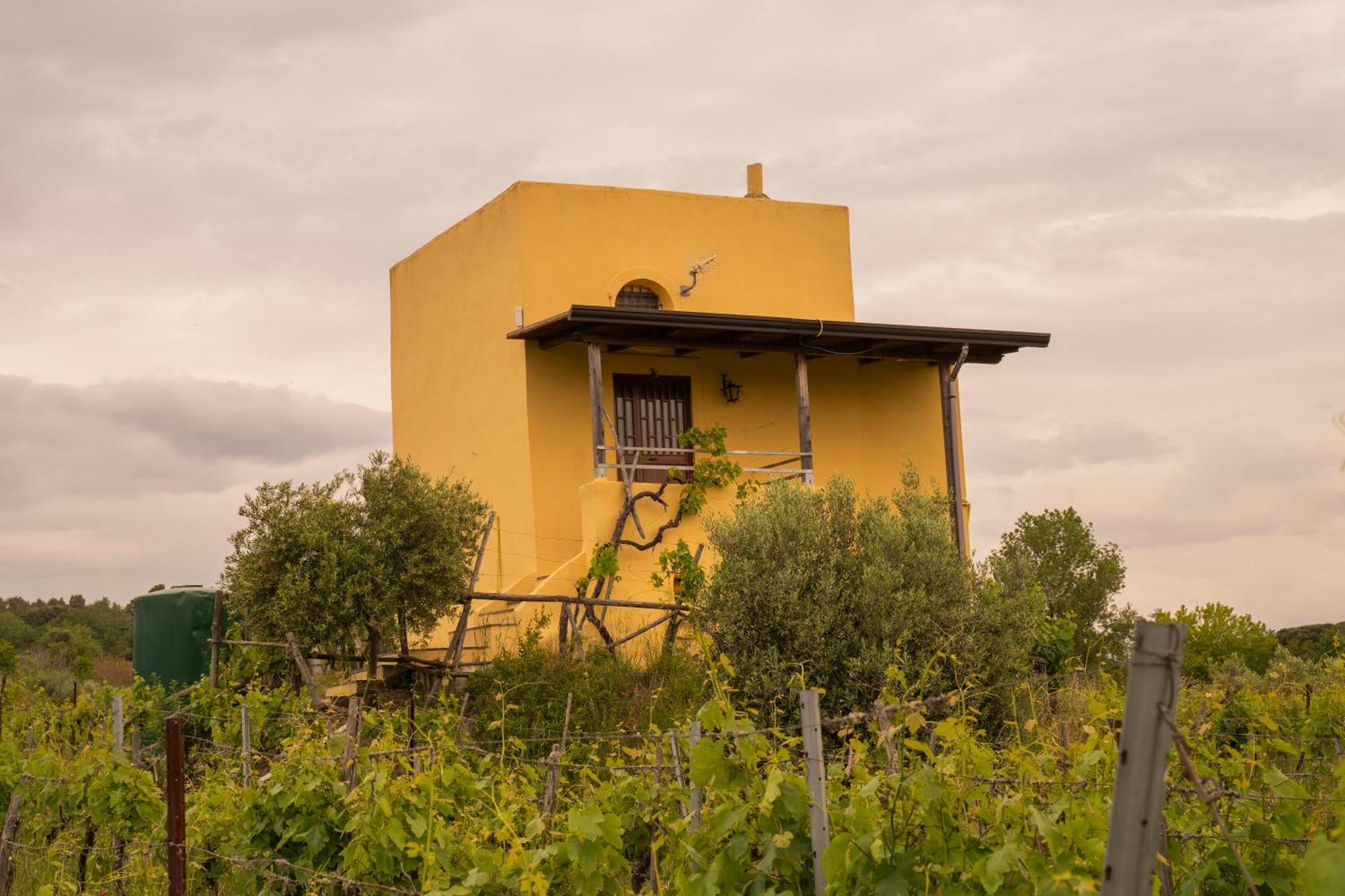 Vesuvio Inn Guest House E Wine Experience Boscotrecase Exterior foto