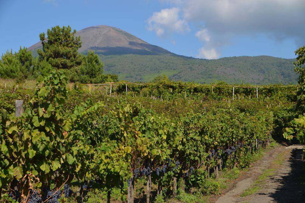 Vesuvio Inn Guest House E Wine Experience Boscotrecase Exterior foto