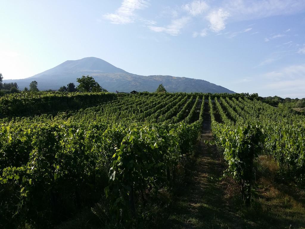 Vesuvio Inn Guest House E Wine Experience Boscotrecase Exterior foto