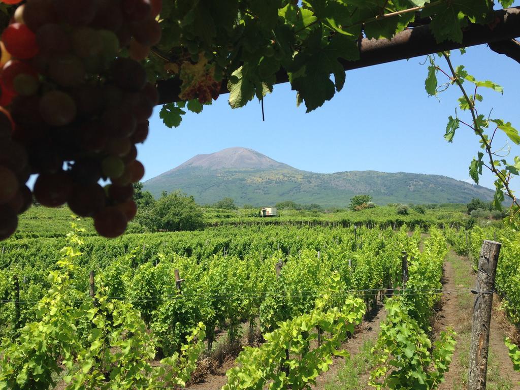 Vesuvio Inn Guest House E Wine Experience Boscotrecase Exterior foto